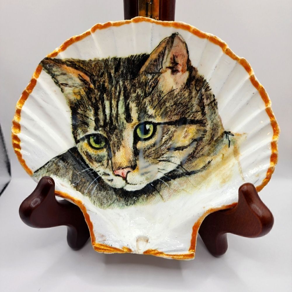 SCALLOPED FAN SHELL 
